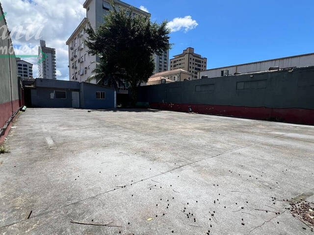 #331-1 - Terreno para Locação em Santos - SP - 1