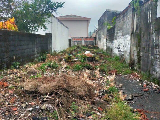 #317-7 - Terreno para Venda em São Vicente - SP - 2