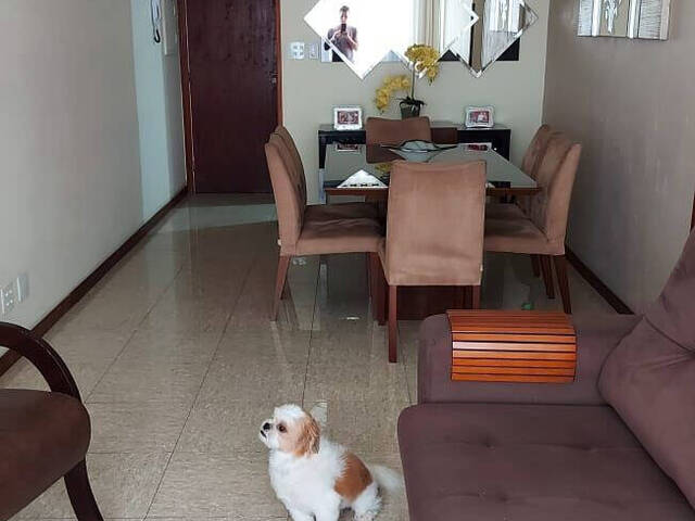 #150-10 - Apartamento para Venda em São Vicente - SP - 3